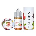 Saltica - Strawberry Kiwi