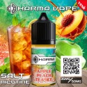 Dharma - Apple Peach Tea Ice Orjinal Salt Likit