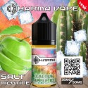 Dharma - Cactus Apple Ice Orjinal Salt Likit